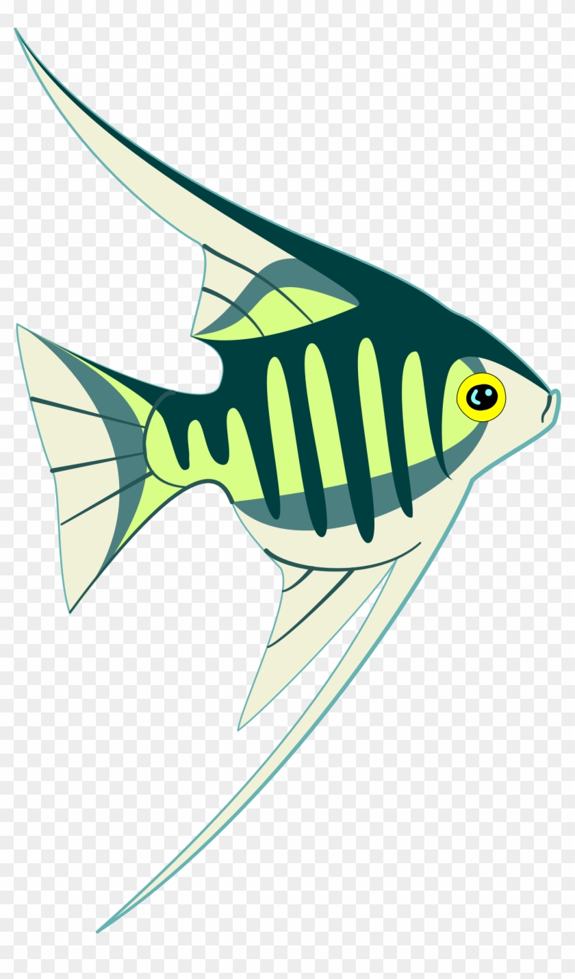 Cartoon Tropical Fish Clip Art - Tropical Fish #975832