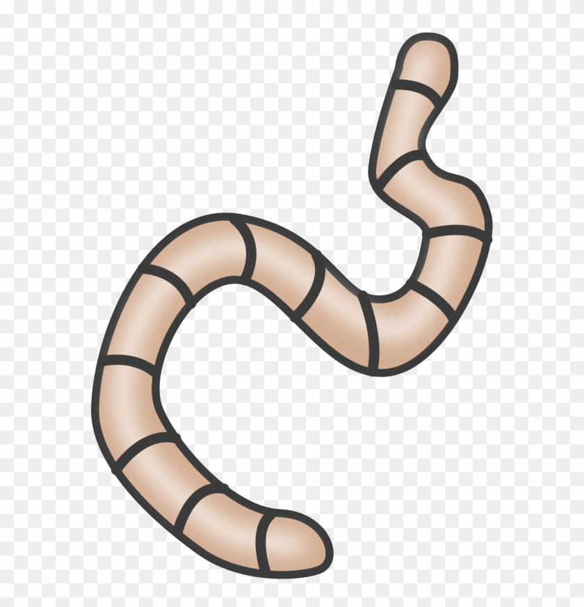 Earthworm Clip Art Download - Earthworm Clip Art Download #975838