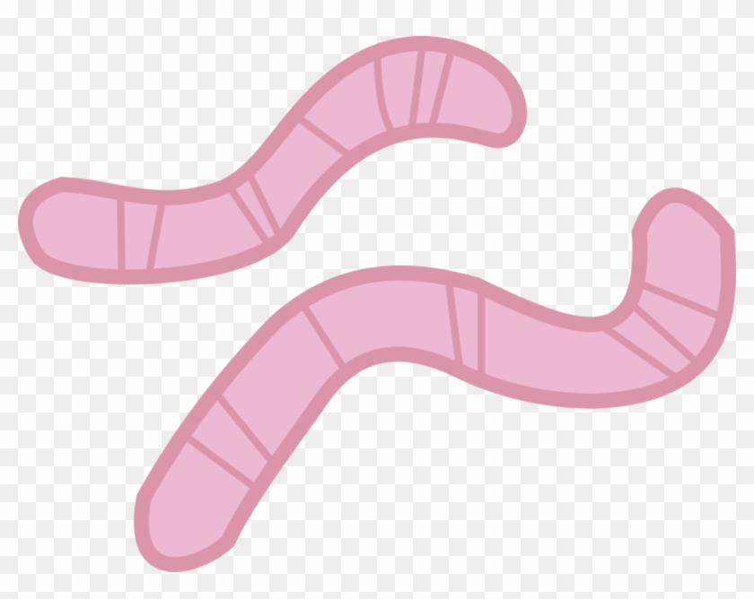 Worms Vector By Didiwork - Digital Art #975841