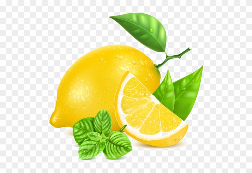 Лимоны,фрукты - Lemon And Mint Vector #976401