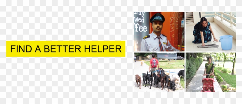 In Is Place To Find Helper For Offices And Homes - Pack Animal #976779
