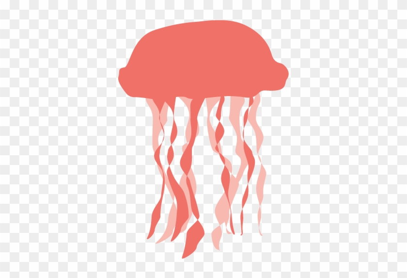 Jellyfish #976817