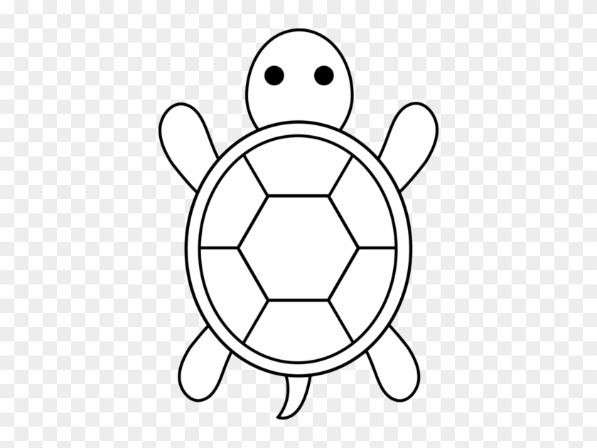 Sea Turtle Drawing Easy.