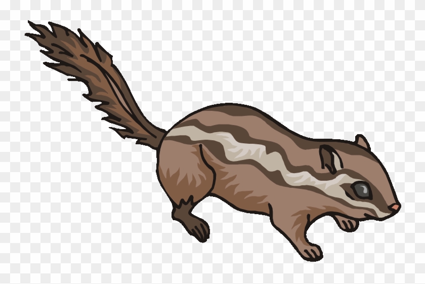 Chipmunk Clipart Small Squirrel - Chipmunk #977963