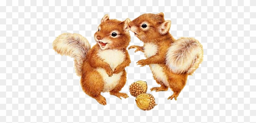 Squirrel Clipart Two - Two Squirrels Clipart #978014