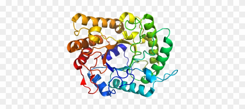 Biochemical, Catalytic, And Spectroscopic Studies Of - Uw-madison Department Of Biochemistry #978244