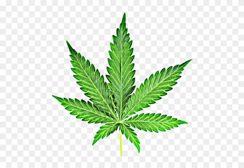 Cannabis Cliparts - Cannabis Png #978462