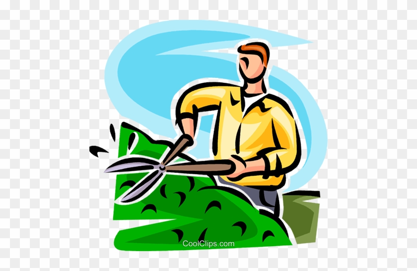 Man Trimming A Hedge Royalty Free Vector Clip Art Illustration - Hedge Clippers Clipart #979014