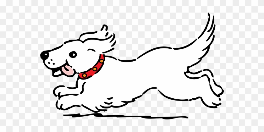 Dog Running Pet Happy White Tongue Dog Dog - Dog Clipart Black And White #979129