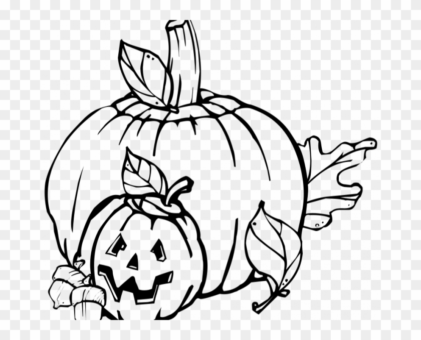 Black And White Images Of Pumpkins - Fall Black And White Clipart #979216