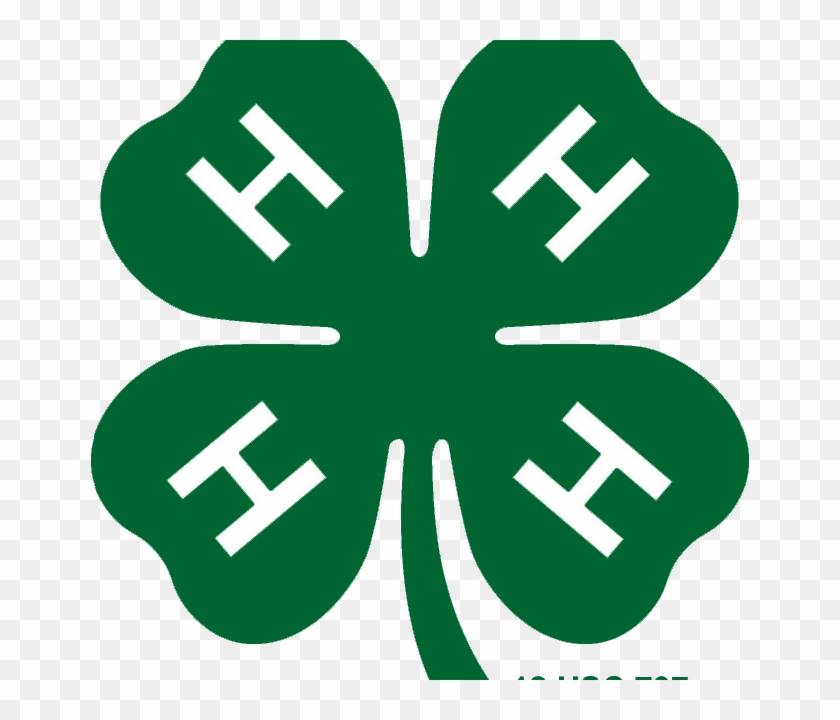 Yoakum County 4-h Selling Raffle Tickets - Official 4 H Logo #979320