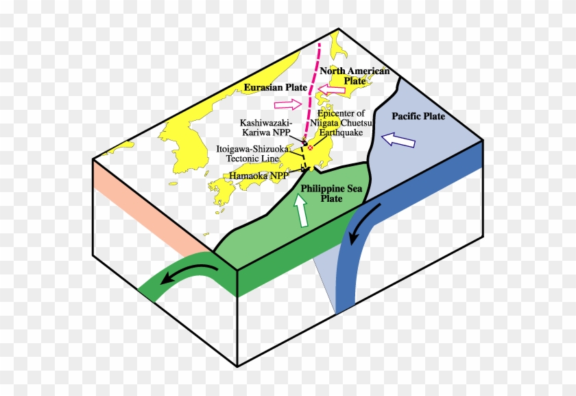 Japanese Earthquake 2011 Diagram #979743