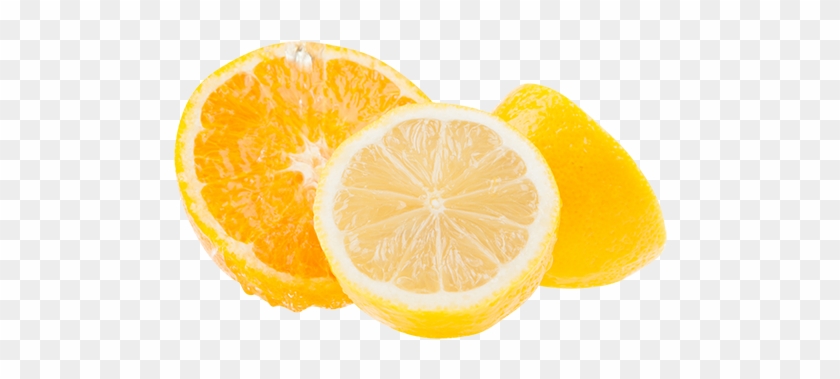 Citroen - Meyer Lemon #979792