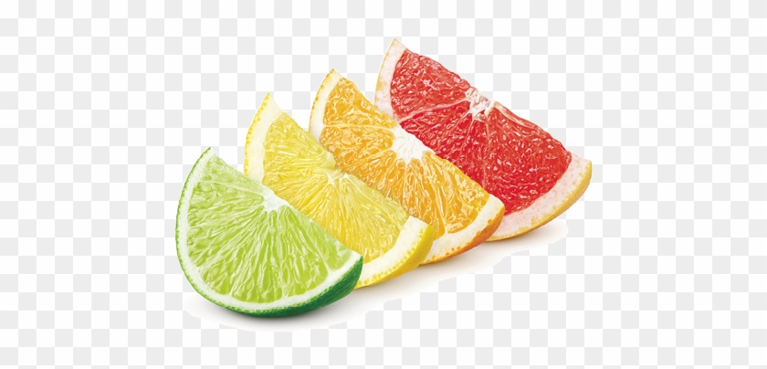 A Citrus History - Lime Lemon Orange Grapefruit #979880