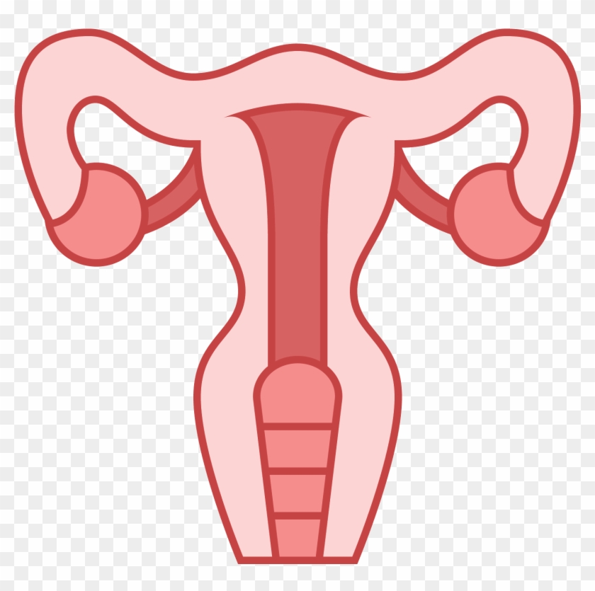 This Icon Represents The Uterus Of A Female Human - Uterus #980813