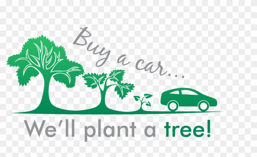 Basil Is Going Green This Earth Day New Amp Used Vehicles - Sweet Baby #981428