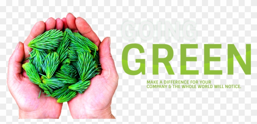 Going Green - Overcoming Addictions: Your Road To Success #981584