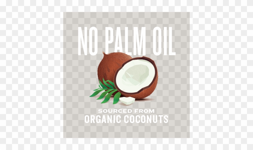 Natural Force Mct Oil Contains No Palm Oil And Is Sourced - Coconut Illustration #981608