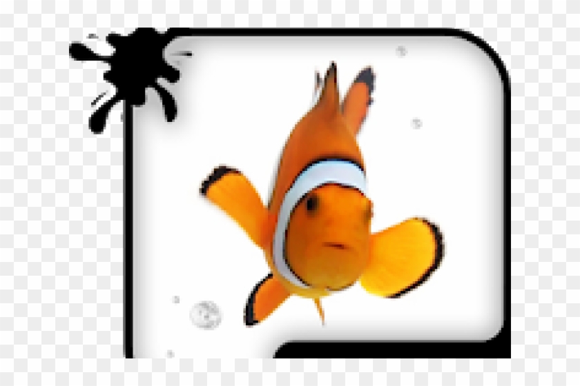Pictures Of Animated Fish - Clownfish #981709
