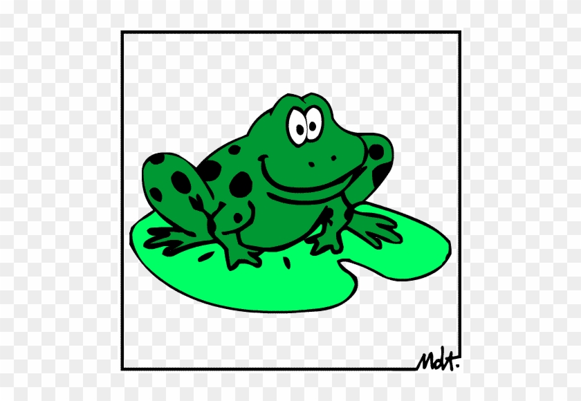 Frog Tattoo Ideas  Frog Tattoo Symbolism  Designs