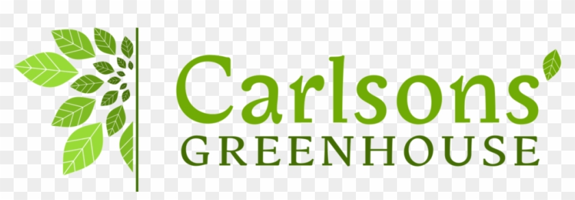Carlsons' Greenhouse - Carlson's Greenhouse #982438
