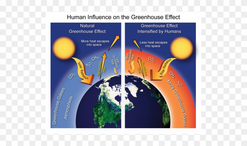 Greenhouse Effect Human Influence On The Greenhouse - Human Influence On The Greenhouse Effect #982657