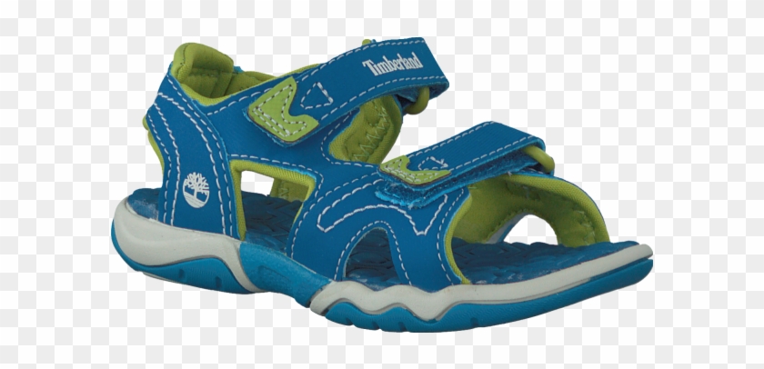 Blue Timberland Sandals Adventure Seeker 2 Strap Kids - Keen #983098