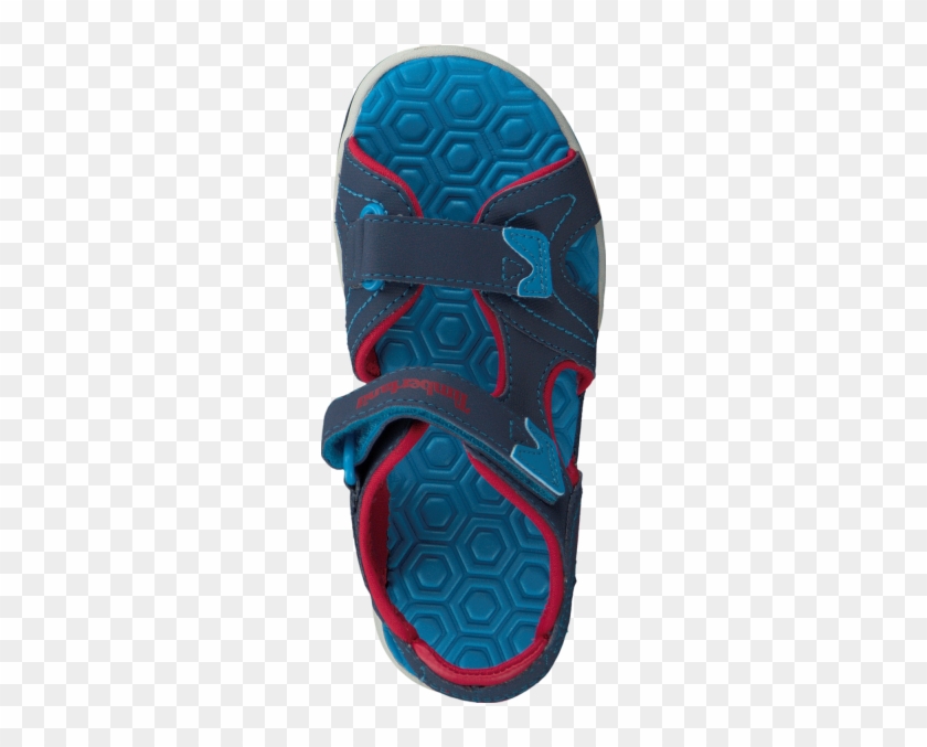 Blue Timberland Sandals Adventure Seeker 2 Strap Kids - Flip-flops #983101