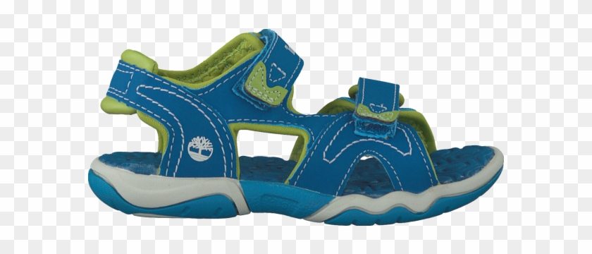 Blue Timberland Sandals Adventure Seeker 2 Strap Kids - Sandal #983103