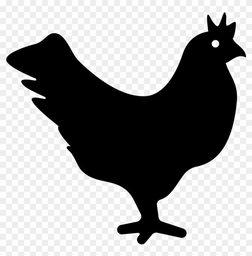 Chicken Comments - Icono De Gallina #983251