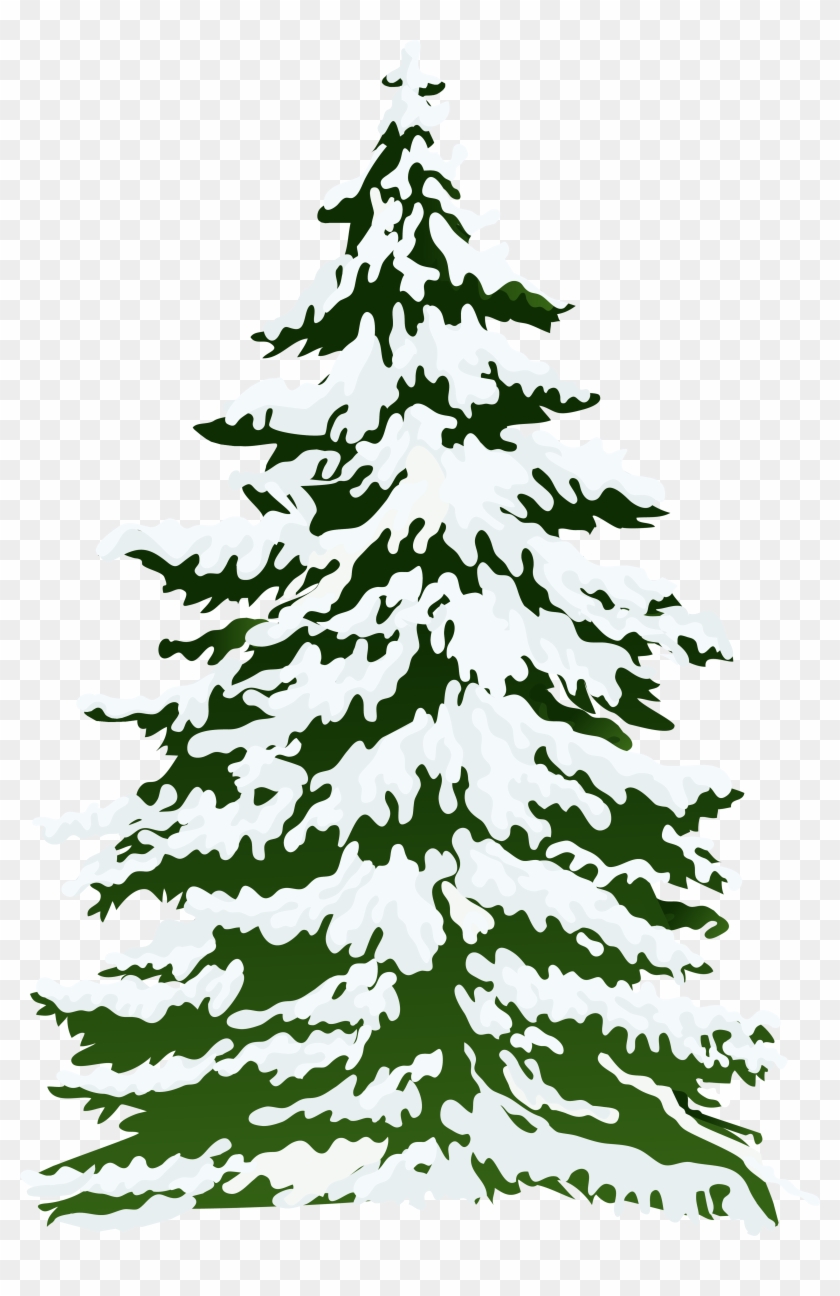 Snowy Tree Clip Art - Snow Pine Tree Png #983390