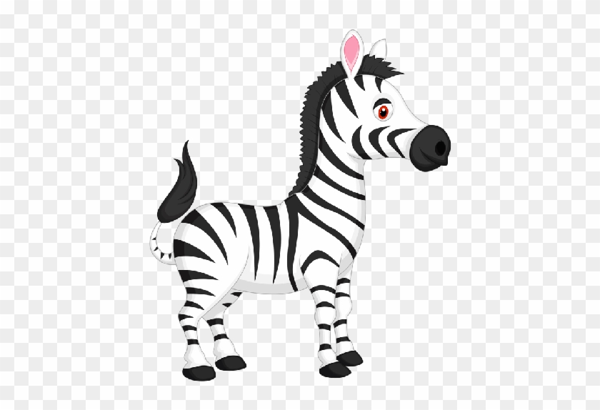 Baby Zebra Clipart Png - Clip Art #983499