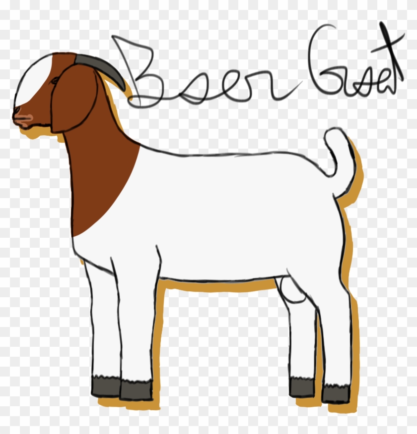 Boer Goat By Spotted Tabby Cat - Boer Goat By Spotted Tabby Cat #983571