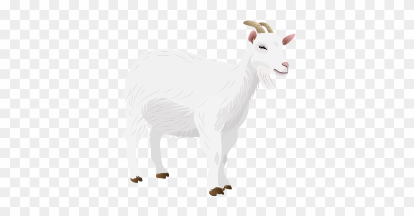 File201408 Goat - T-shirt #983601
