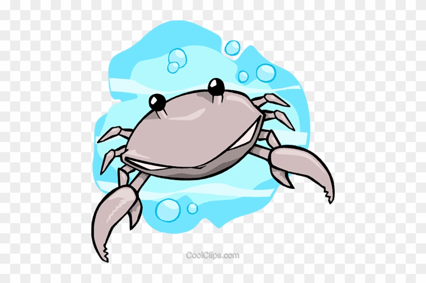 Crab Royalty Free Vector Clip Art Illustration - Freshwater Crab #983937
