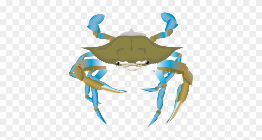 Clipart Info - Blue Crab Vector Png #984003