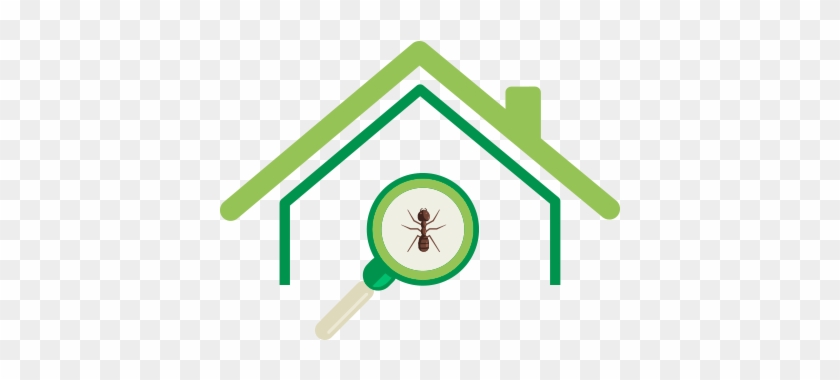 Spring-green Can Help You Solve Your Pest Problems - Pest #984402
