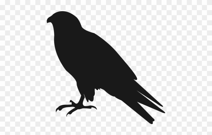 Crow Free Png Transparent Background Images Free Download - Cuervo Png #984443