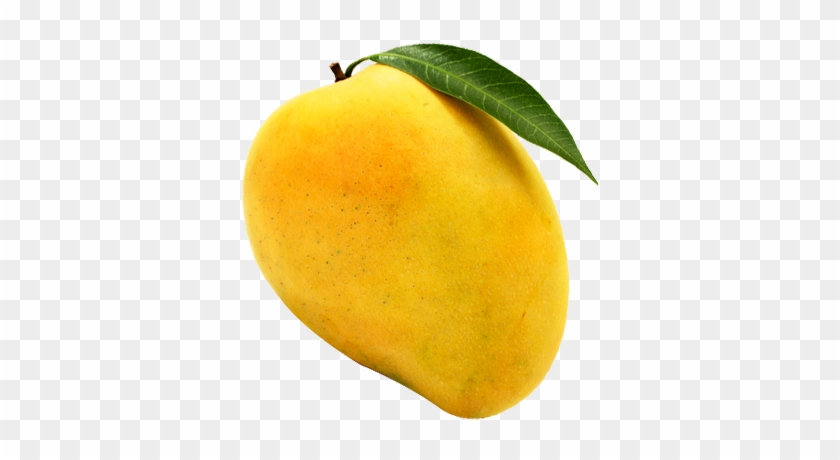 Alphonso Mango Png #984466