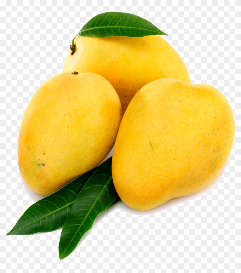 Mango Transparent Picture - Banganapalli Mango #984474