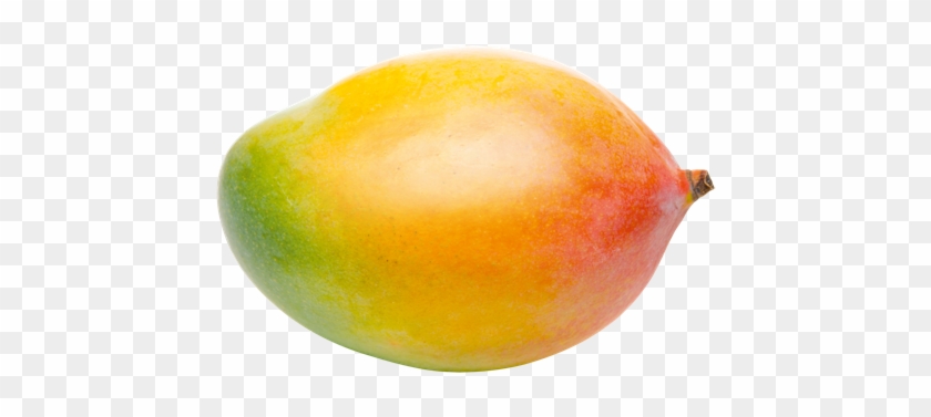 Mangos - Stock Photography #984490