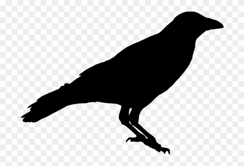 Crow Silhouette Lffknb Clipart - Silhouette Of A Crow #984491