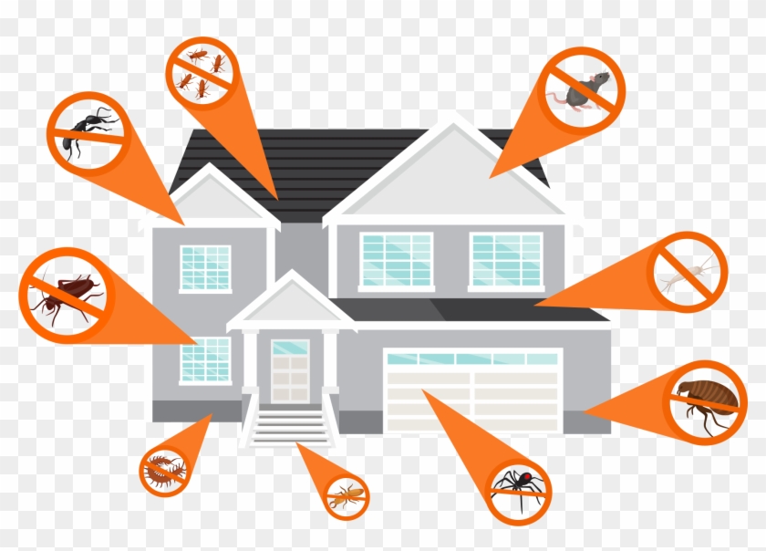 At Havoc Pest Control We Promote The Practice Of Integrated - Pest #984496