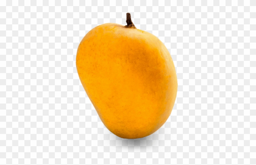 Alphonso Mangoes Large Box - Mango #984504