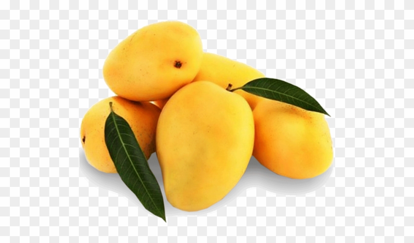 Mango Free Png Image - Fresh Mango #984508
