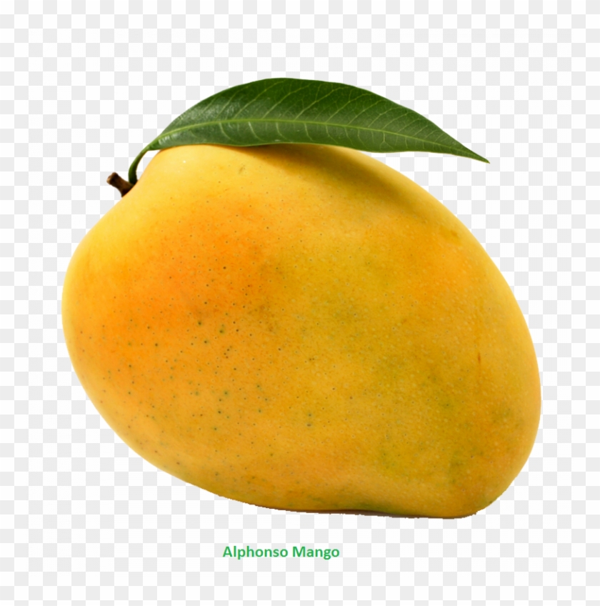 Mango Clipart Png Download Mango Free Png Photo Images - Mango Png #984525