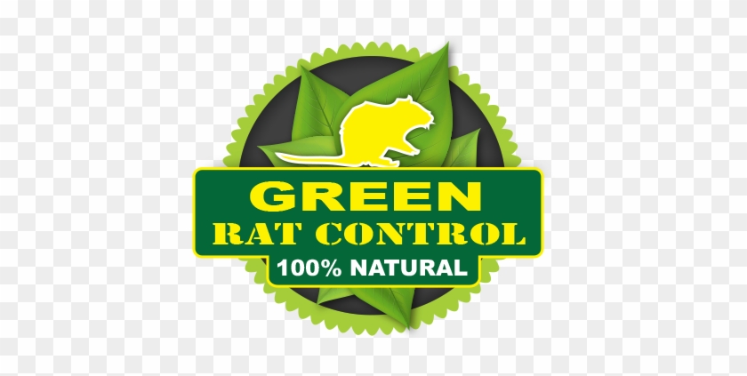 How Often Do You Need Pest Control Services - Westside Connection Terrorist Threats #984560