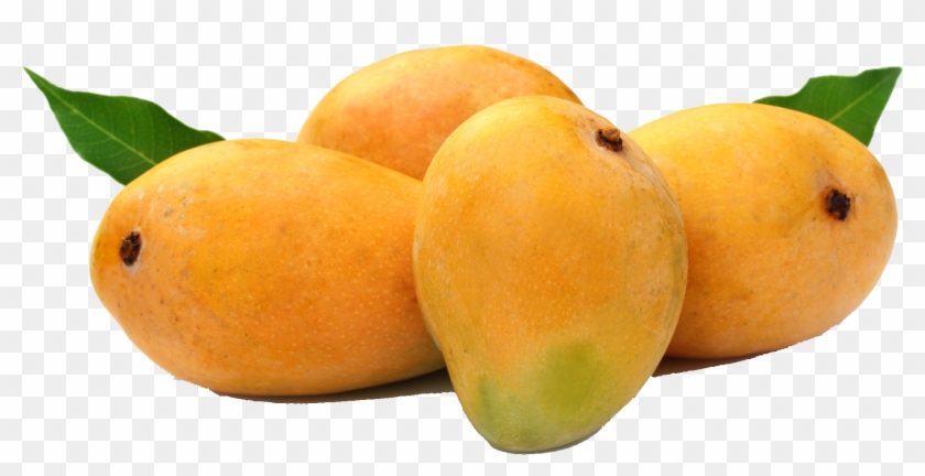 Mango Png Hd Images - Hapus Mango #984580