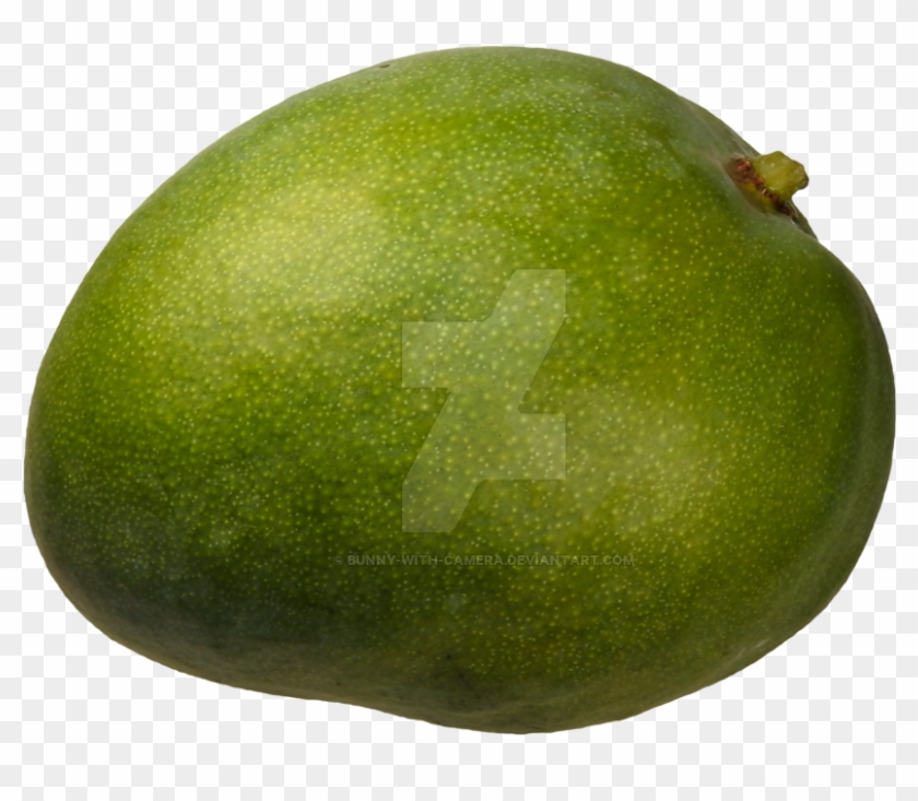 Green Mango Png By Bunny With Camera - Clip Art #984590