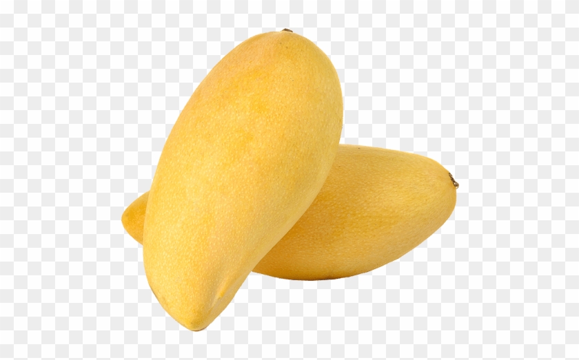 Fresh Namdokmai Mango - Fruit #984596